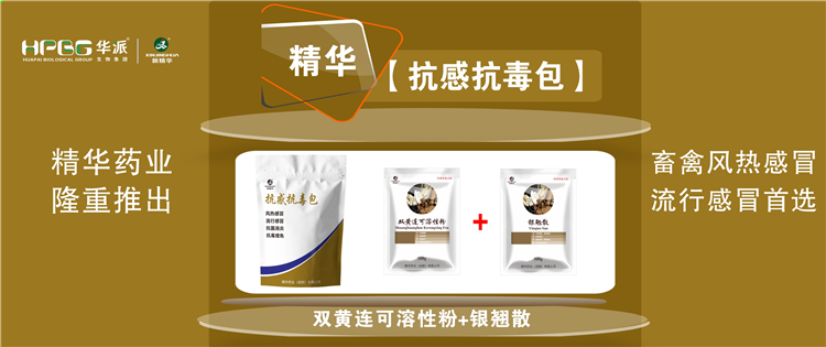 科普：几种常见畜禽伤风与盛行性伤风的防控 |【抗感抗毒包】抗菌消炎、解热排毒、抗毒增免，，，，畜禽风热伤风、盛行伤风首选!