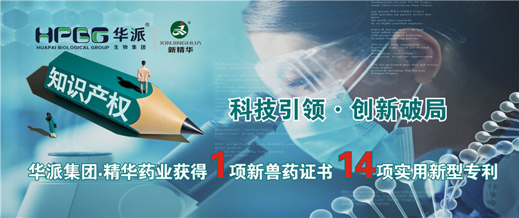 科技引领&bull;立异破局 | 华派集团&bull;耀彩网药业获得1项新兽药证书 14项适用新型专利