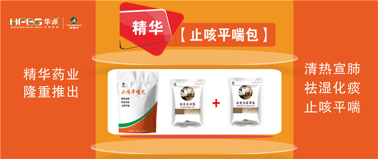 科普：畜禽呼吸道疾病的防控手艺 |【止咳平喘包】清热宣肺、祛湿化痰、止咳平喘，，，，畜禽呼吸道疾病引起的种种咳喘防控首选！！。。。。
