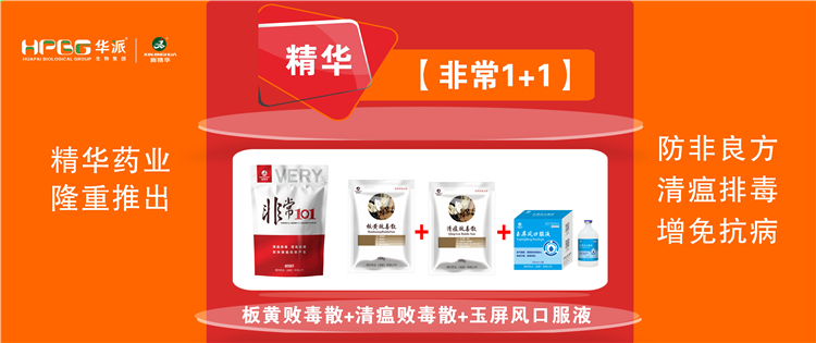 科普：非洲猪瘟防控步伐 |【很是1+1】防非良方, 清瘟排毒、增免抗病，，，，加速猪瘟抗体爆发!